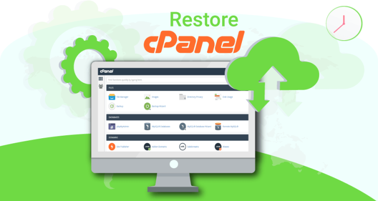 Take Backup of WordPress Site