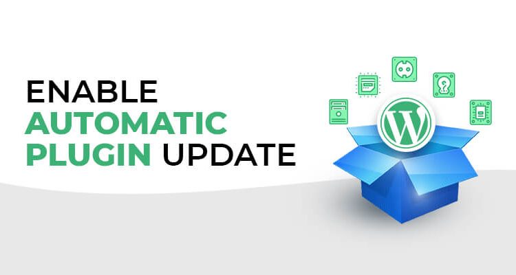 Enable Automatic Plugin Updates in WordPress