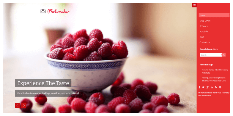 PhotoMaker WordPress Themes