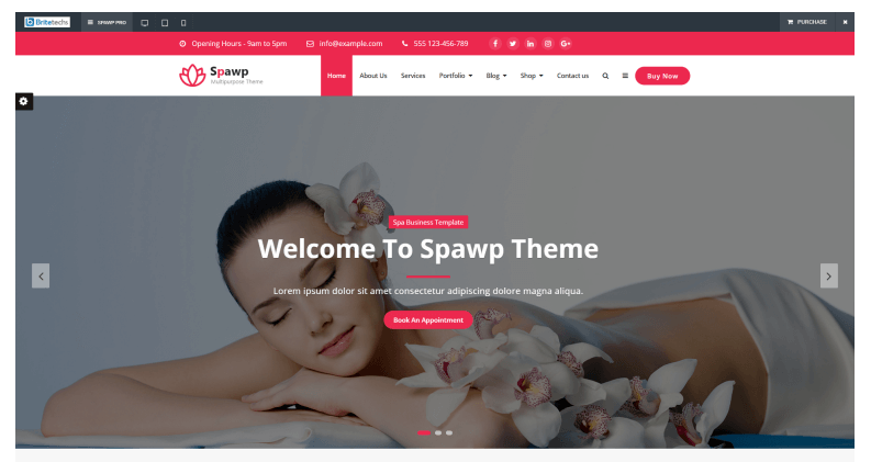 Spawp- Responsive Acupuncture Themes