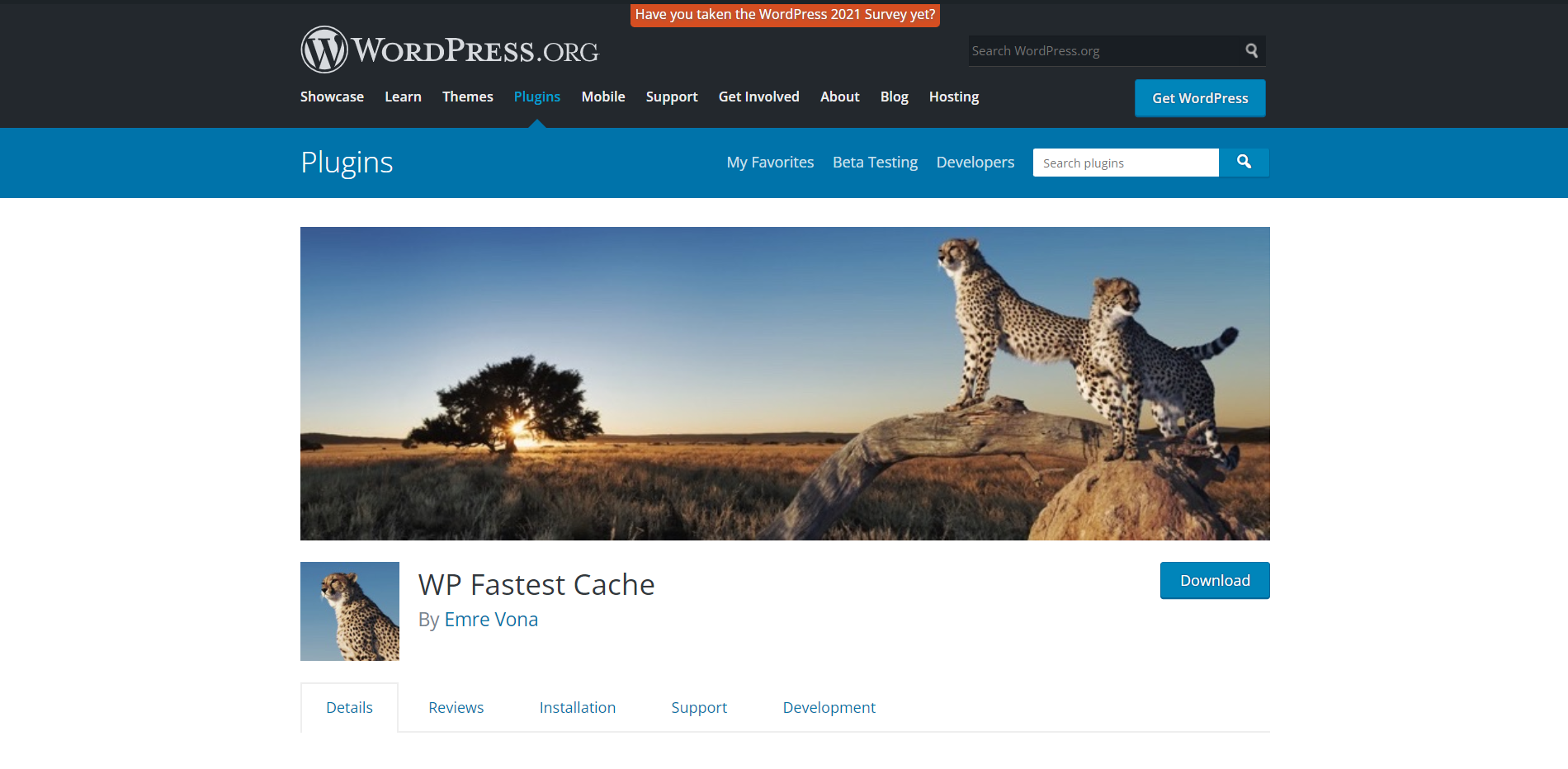 WP Fastest Cache WordPress plugin