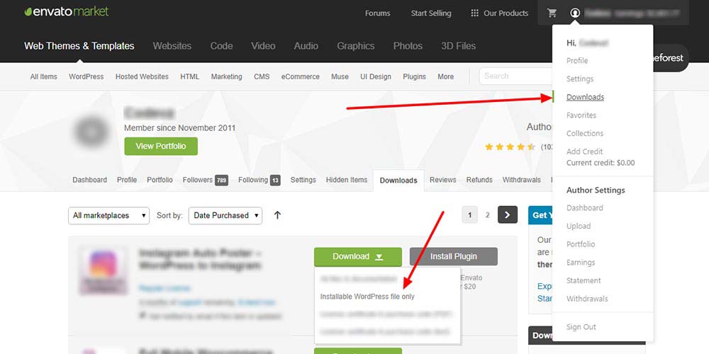 Theme Installation – ThemeIM