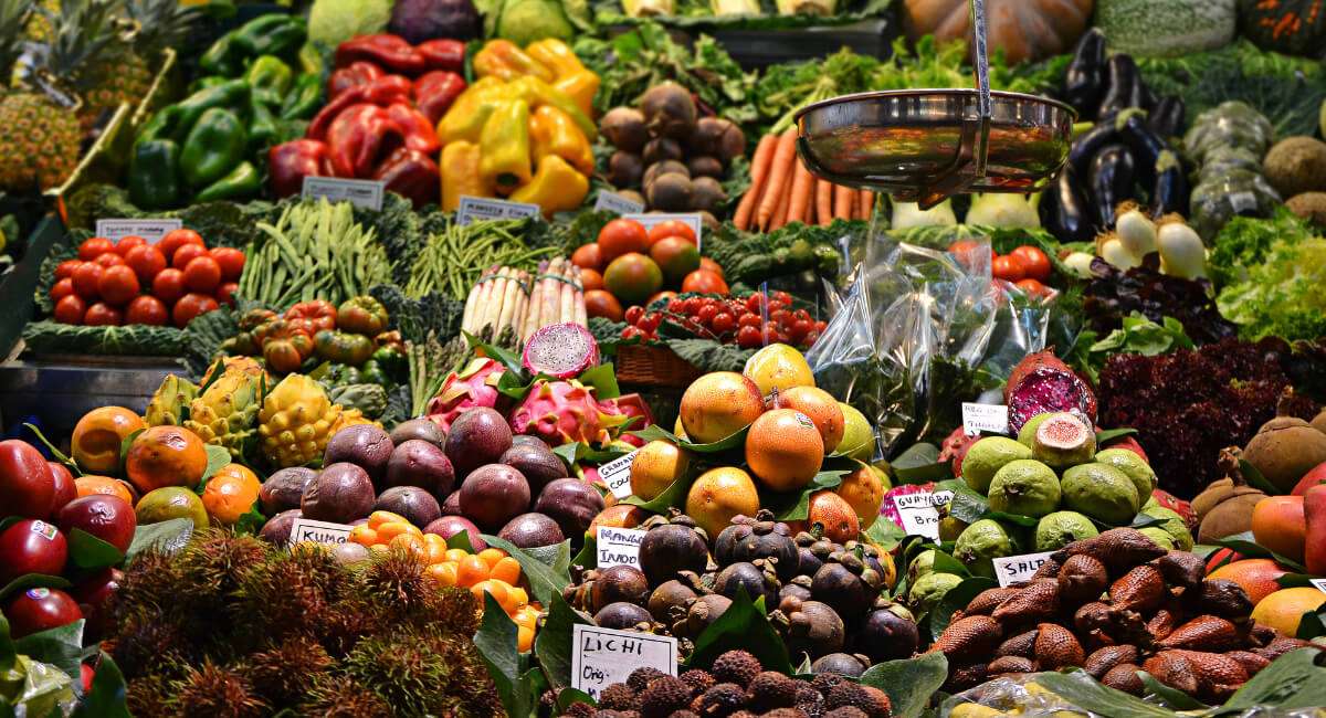 Lack of basic health care and nutrition