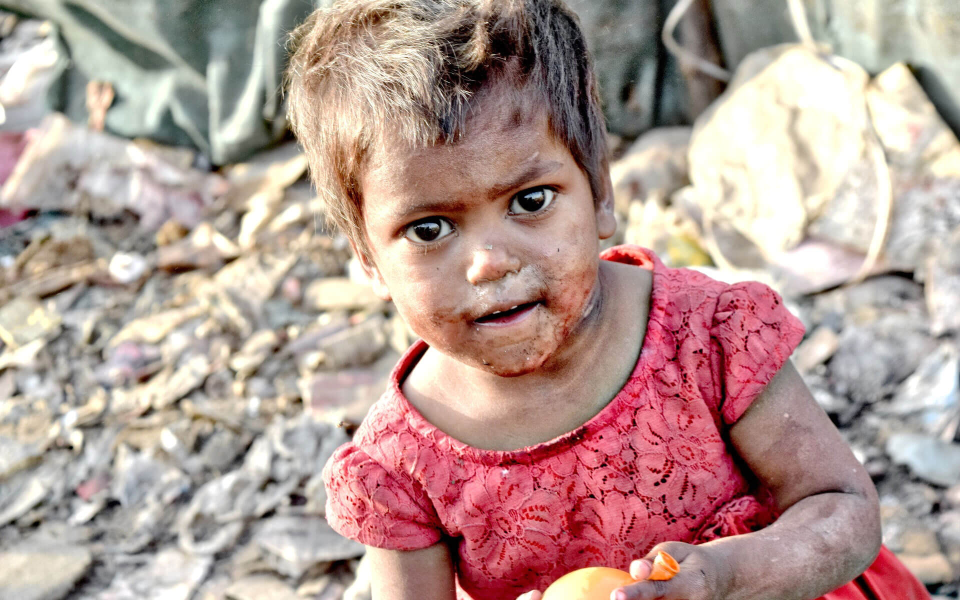 Erat utamur iisque vel an partem veritus nec cu quidam commodo impedit at vim